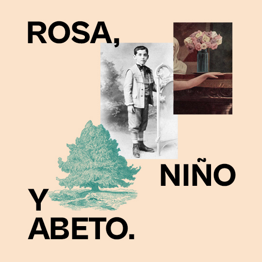 Rosa, xiquet i avet